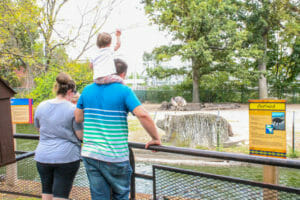 Family at Ostrich exhibit