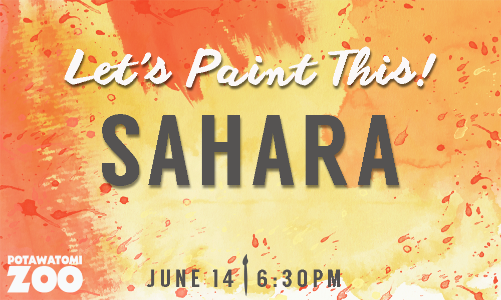 Let's Paint This Sahara