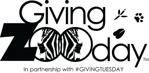 #GivingZOOday logo