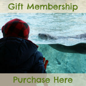 purchase a membership for yourself or someone else