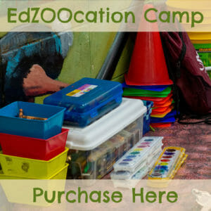 purchase an educational zoo camp