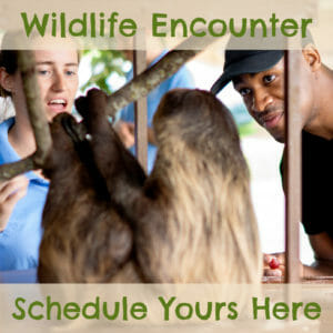 have a private wildlife encounter with your favorite ambassador animal