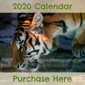 purchase the 2020 conservation calendar