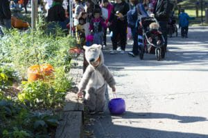 child in wolf costume at zoo boo