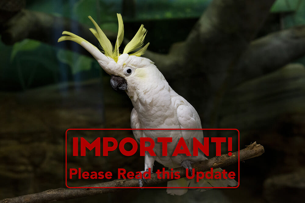 important update from the zoo